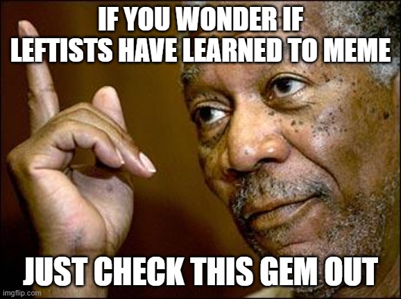 This Morgan Freeman | IF YOU WONDER IF LEFTISTS HAVE LEARNED TO MEME JUST CHECK THIS GEM OUT | image tagged in this morgan freeman | made w/ Imgflip meme maker