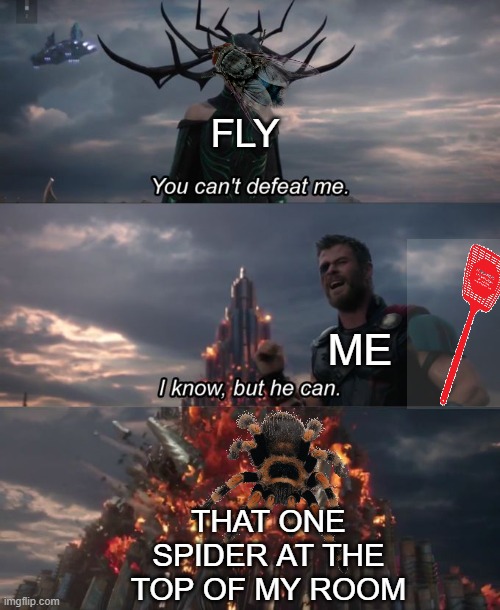 Spider friend :))))) | FLY; ME; THAT ONE SPIDER AT THE TOP OF MY ROOM | image tagged in you can't defeat me,spider,relatable,memes | made w/ Imgflip meme maker