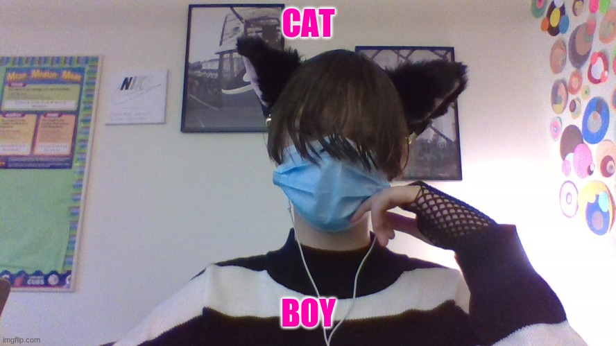 Im a cat boy ^^ | CAT; BOY | image tagged in cat boy,aweee | made w/ Imgflip meme maker