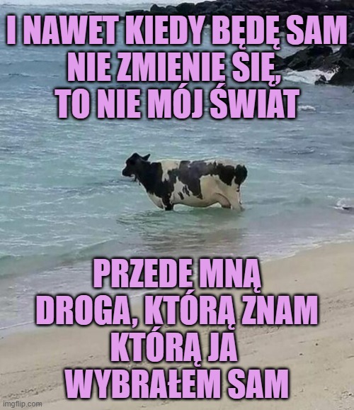 Imgflip