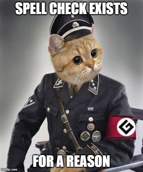 Grammar Nazi Cat | SPELL CHECK EXISTS FOR A REASON | image tagged in grammar nazi cat | made w/ Imgflip meme maker