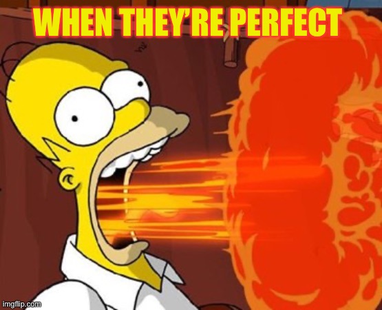Mouth on fire | WHEN THEY’RE PERFECT | image tagged in mouth on fire | made w/ Imgflip meme maker