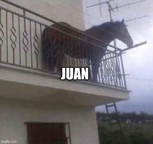 Juan | JUAN | image tagged in juan | made w/ Imgflip meme maker