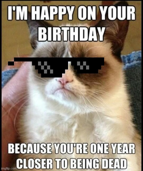 Grumpy cat meme | image tagged in grumpy cat,meme,funny | made w/ Imgflip meme maker