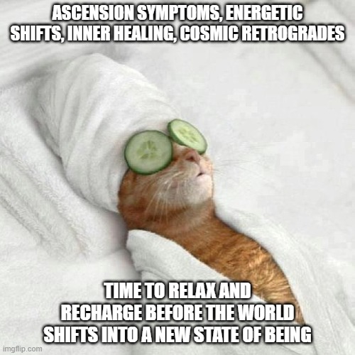 Cat spa sunday | ASCENSION SYMPTOMS, ENERGETIC SHIFTS, INNER HEALING, COSMIC RETROGRADES; TIME TO RELAX AND RECHARGE BEFORE THE WORLD SHIFTS INTO A NEW STATE OF BEING | image tagged in cat spa sunday | made w/ Imgflip meme maker