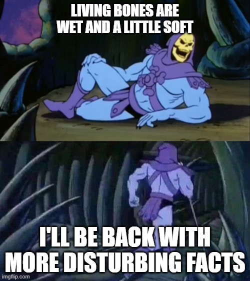Skeletor disturbing facts | LIVING BONES ARE WET AND A LITTLE SOFT; I'LL BE BACK WITH MORE DISTURBING FACTS | image tagged in skeletor disturbing facts | made w/ Imgflip meme maker