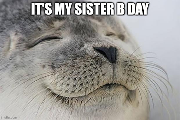 Satisfied Seal Meme | IT'S MY SISTER B DAY | image tagged in memes,satisfied seal | made w/ Imgflip meme maker