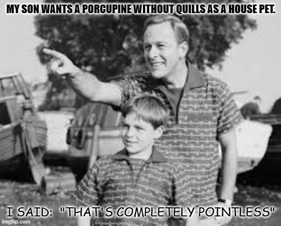 Daily Bad Dad Joke 11/22/2021 | MY SON WANTS A PORCUPINE WITHOUT QUILLS AS A HOUSE PET. I SAID:  "THAT'S COMPLETELY POINTLESS" | image tagged in look son | made w/ Imgflip meme maker