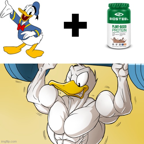 got this idea from  liarspew | image tagged in strong,duck | made w/ Imgflip meme maker