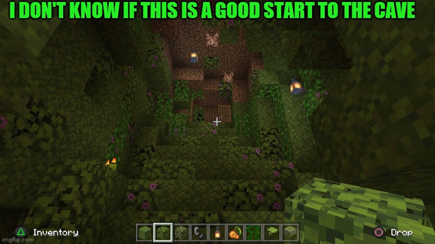 Im making a custom cave for my brother world | I DON'T KNOW IF THIS IS A GOOD START TO THE CAVE | image tagged in e | made w/ Imgflip meme maker