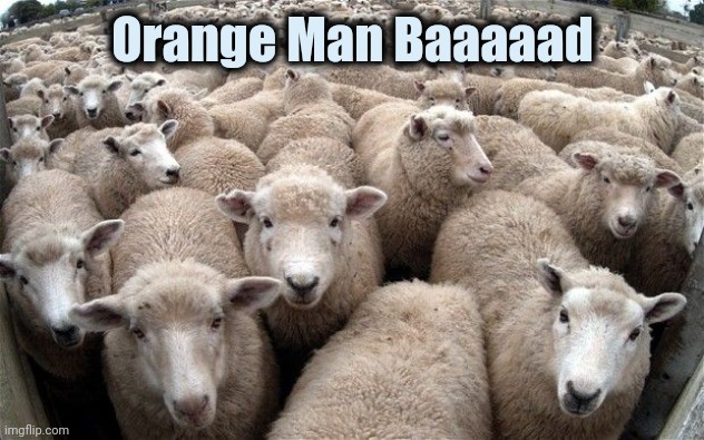 sheeple | Orange Man Baaaaad | image tagged in sheeple | made w/ Imgflip meme maker