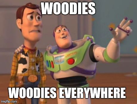 X, X Everywhere | WOODIES WOODIES EVERYWHERE | image tagged in memes,x x everywhere | made w/ Imgflip meme maker