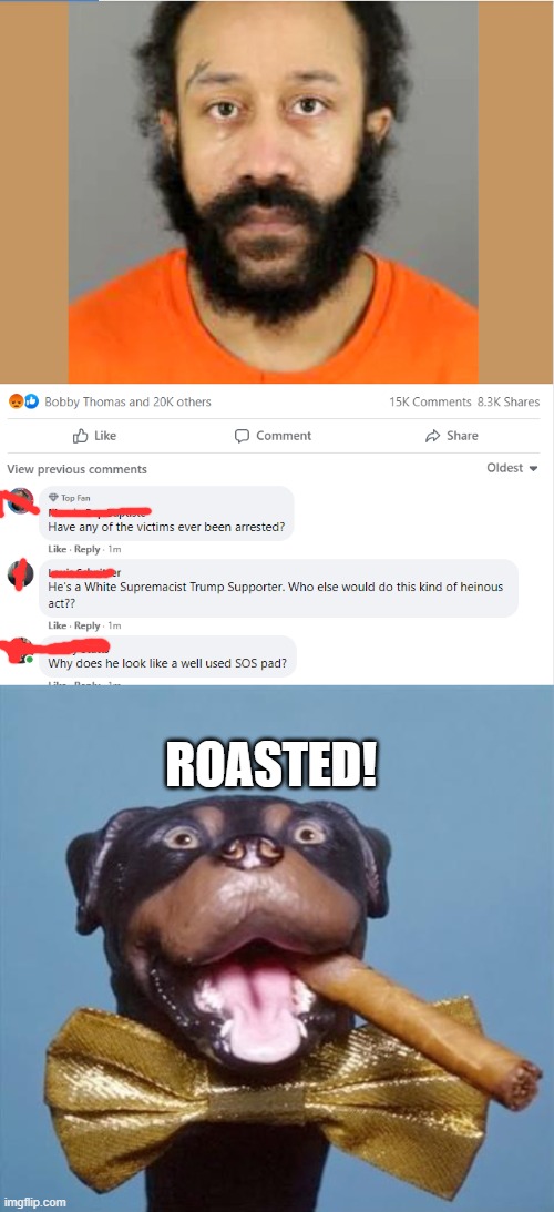 My first roast!  I suck...but that made me laugh! | ROASTED! | image tagged in triumph the insult comic dog | made w/ Imgflip meme maker
