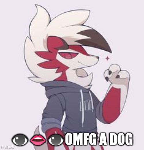 👁👄👁OMFG A DOG | made w/ Imgflip meme maker