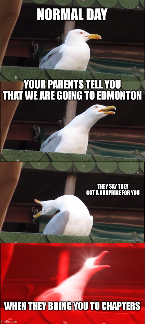 Inhaling Seagull | NORMAL DAY; YOUR PARENTS TELL YOU THAT WE ARE GOING TO EDMONTON; THEY SAY THEY GOT A SURPRISE FOR YOU; WHEN THEY BRING YOU TO CHAPTERS | image tagged in memes,inhaling seagull | made w/ Imgflip meme maker