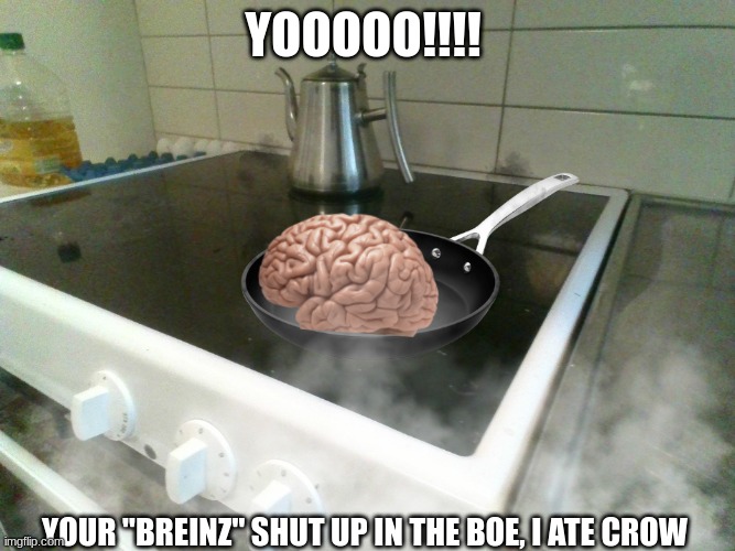 Hey! Your `Breinz` Stuck In A FryerPan | YOOOOO!!!! YOUR "BREINZ" SHUT UP IN THE BOE, I ATE CROW | image tagged in fry,french fries,lies,furnace | made w/ Imgflip meme maker