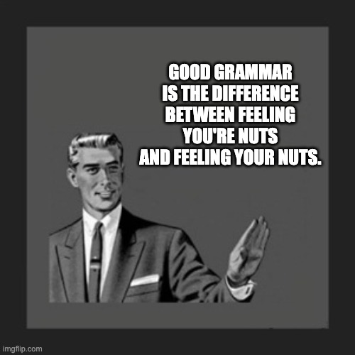 grammar | GOOD GRAMMAR IS THE DIFFERENCE BETWEEN FEELING YOU'RE NUTS AND FEELING YOUR NUTS. | image tagged in memes,kill yourself guy | made w/ Imgflip meme maker