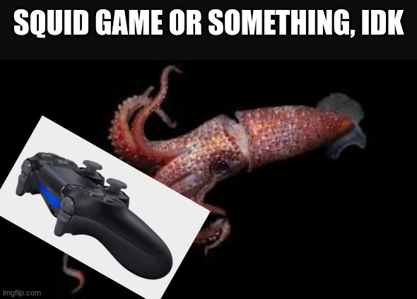 whats squid game? | SQUID GAME OR SOMETHING, IDK | image tagged in squidgame,ps4 | made w/ Imgflip meme maker