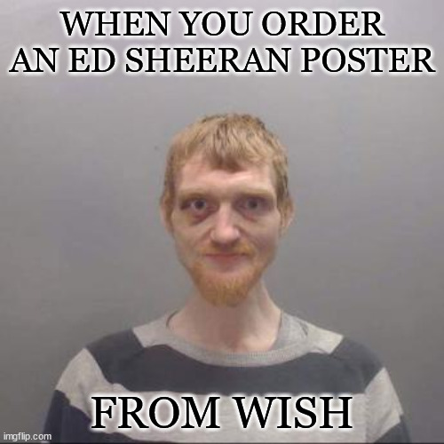 wish | WHEN YOU ORDER AN ED SHEERAN POSTER; FROM WISH | image tagged in first world problems | made w/ Imgflip meme maker