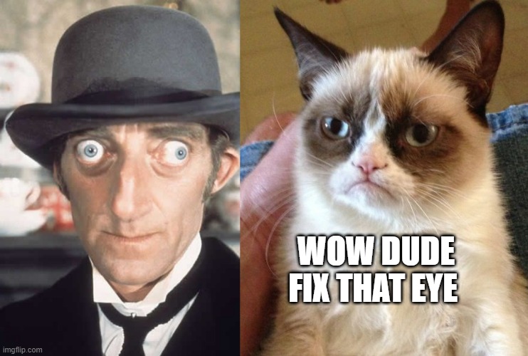 MARTY & GRUMPY | WOW DUDE FIX THAT EYE | image tagged in memes,grumpy cat | made w/ Imgflip meme maker