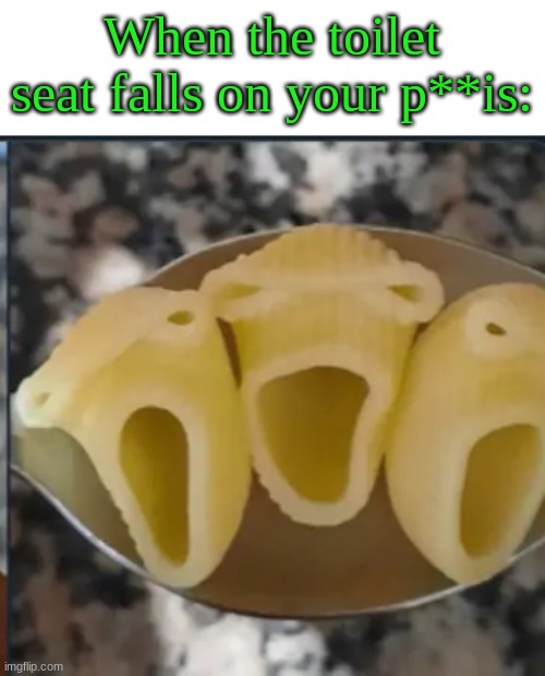 AAAAAAAAAAAAAAAAAAAAAAAAAAAAAAAAAAAA | When the toilet seat falls on your p**is: | image tagged in penis jokes | made w/ Imgflip meme maker