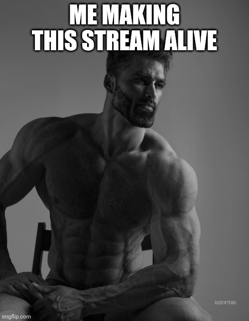 Giga Chad | ME MAKING THIS STREAM ALIVE | image tagged in giga chad | made w/ Imgflip meme maker