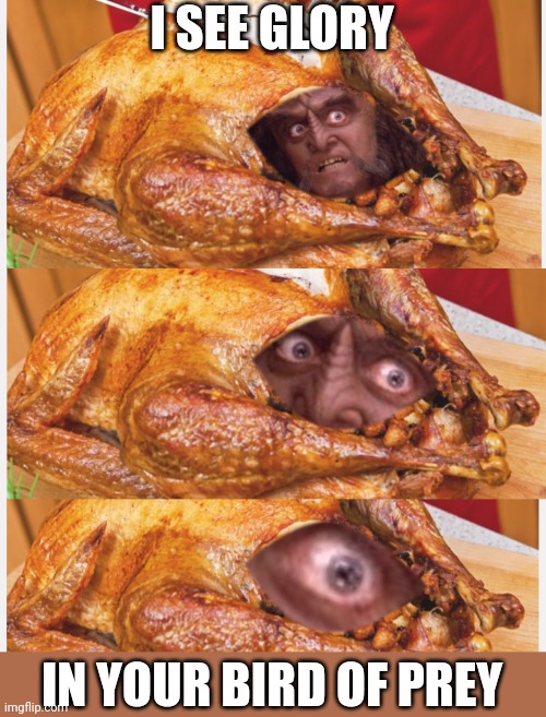 I SEE GLORY; IN YOUR BIRD OF PREY | image tagged in gowron,thanksgiving | made w/ Imgflip meme maker