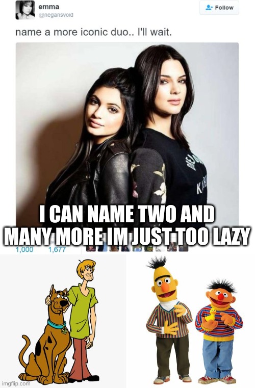 I CAN NAME TWO AND MANY MORE IM JUST TOO LAZY | image tagged in memes,imgflip,funny | made w/ Imgflip meme maker