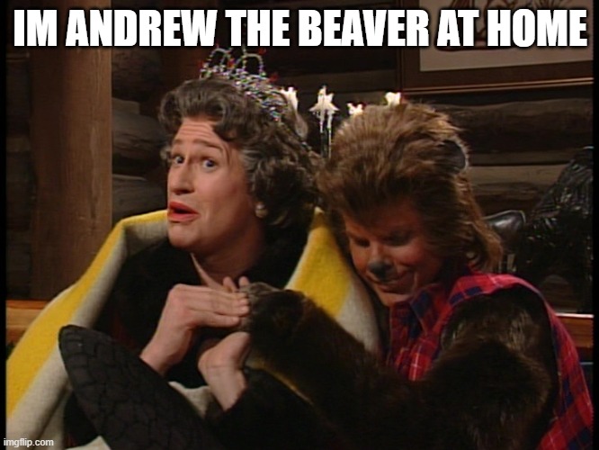 ... | IM ANDREW THE BEAVER AT HOME | image tagged in andrew taylor the beaver,furry | made w/ Imgflip meme maker