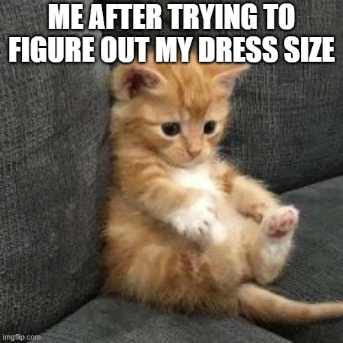 I don't know sad cat in shock meme. | ME AFTER TRYING TO FIGURE OUT MY DRESS SIZE | image tagged in i don't know sad cat in shock meme | made w/ Imgflip meme maker