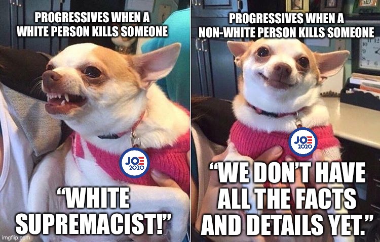 Joe Biden is a brain dead hypocrite | PROGRESSIVES WHEN A WHITE PERSON KILLS SOMEONE; PROGRESSIVES WHEN A NON-WHITE PERSON KILLS SOMEONE; “WE DON’T HAVE ALL THE FACTS AND DETAILS YET.”; “WHITE SUPREMACIST!” | image tagged in angry dog meme,memes,kyle rittenhouse,black and white,liberal logic,riots | made w/ Imgflip meme maker