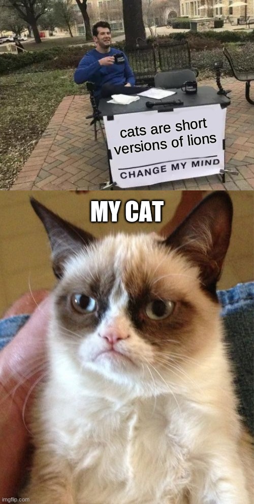 cats are short versions of lions | cats are short versions of lions; MY CAT | image tagged in memes,change my mind,grumpy cat,change,cats | made w/ Imgflip meme maker