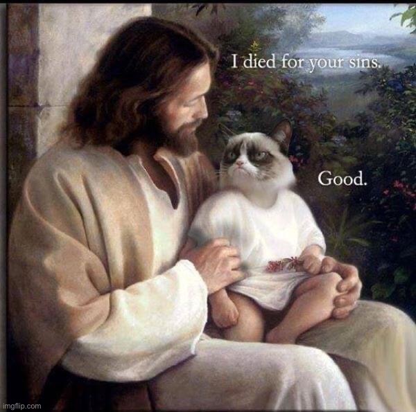 Rude on, grumpy cat | image tagged in jesus i died for your sins | made w/ Imgflip meme maker