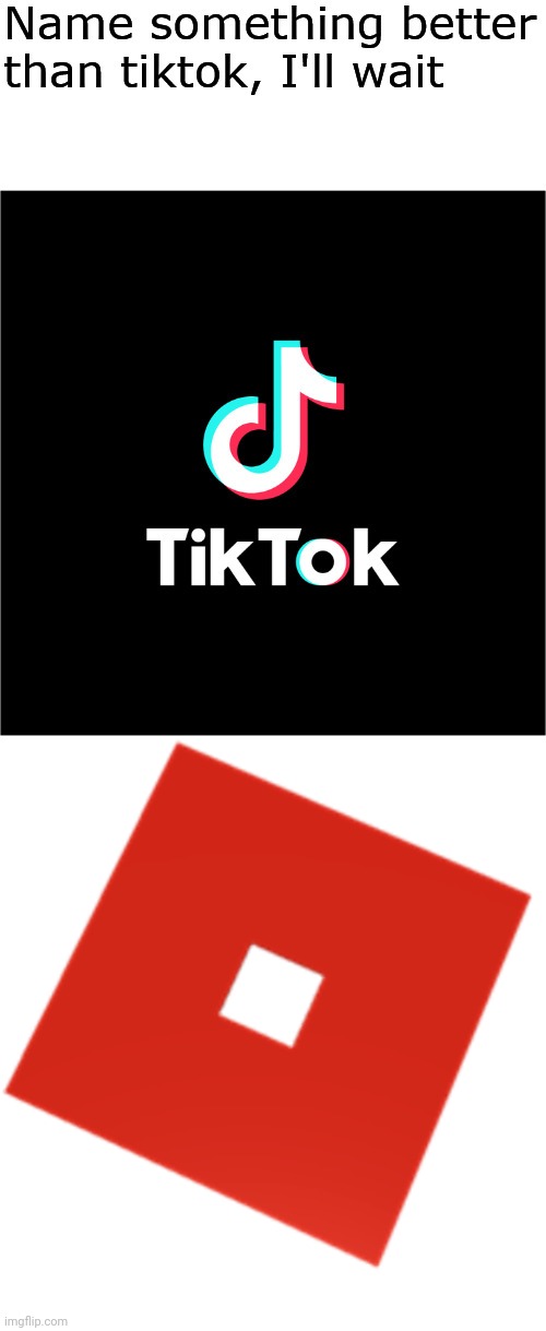 Name something better than tiktok, I'll wait | image tagged in name something better than tiktok i'll wait | made w/ Imgflip meme maker