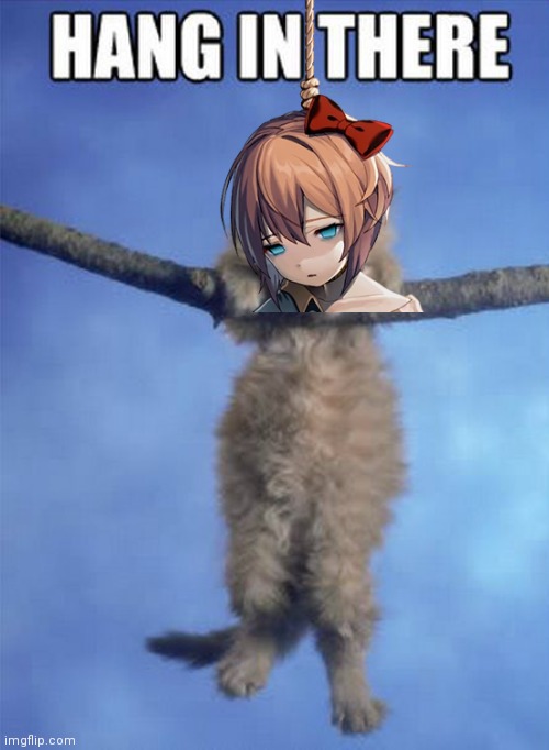 Hang in there Kitty | image tagged in hang in there kitty | made w/ Imgflip meme maker