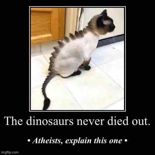 It no es catto | image tagged in atheists,explain,it,no,es,catto | made w/ Imgflip meme maker