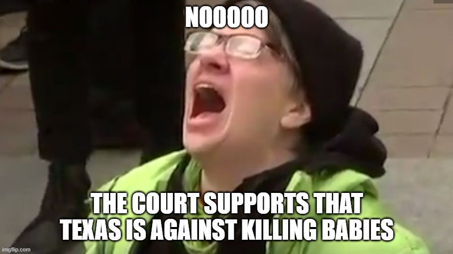 If you don't want a kid before you get one, take an anti-birth pill before it comes | NOOOOO; THE COURT SUPPORTS THAT TEXAS IS AGAINST KILLING BABIES | image tagged in screaming liberal,abortion is murder | made w/ Imgflip meme maker