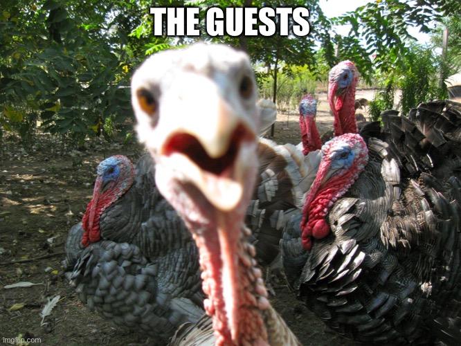 When your guests are stuffed | THE GUESTS | image tagged in turkeys,stuffed animal | made w/ Imgflip meme maker