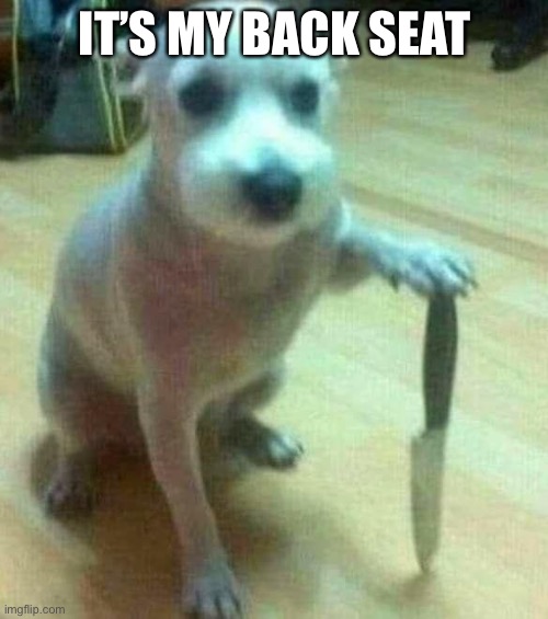 dog with knife | IT’S MY BACK SEAT | image tagged in dog with knife | made w/ Imgflip meme maker