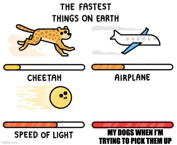 fastest thing possible | MY DOGS WHEN I'M TRYING TO PICK THEM UP | image tagged in fastest thing possible | made w/ Imgflip meme maker