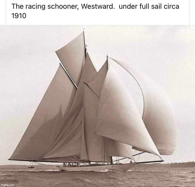 Racing schooner Westward | image tagged in racing schooner westward | made w/ Imgflip meme maker