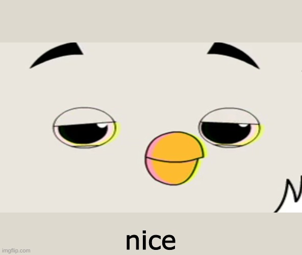 Nice owl | nice | image tagged in memes | made w/ Imgflip meme maker