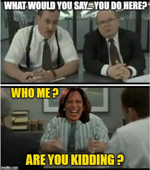 Useless as tits on a boar hog | WHO ME ? ARE YOU KIDDING ? | image tagged in vp,hoe,imahoe,kammy,harris | made w/ Imgflip meme maker
