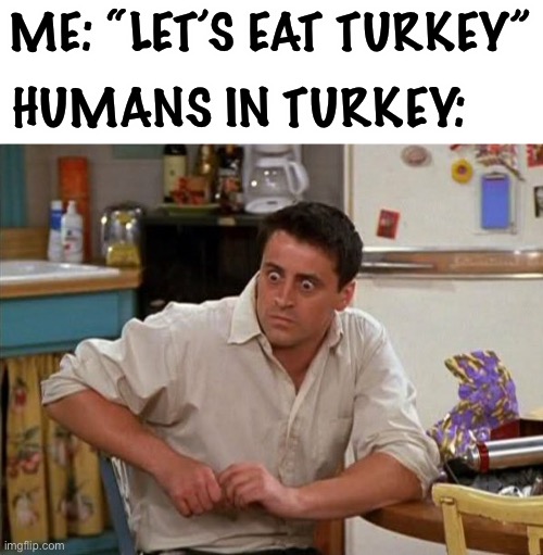 should i post this in fun? | ME: “LET’S EAT TURKEY”; HUMANS IN TURKEY: | image tagged in surprised joey | made w/ Imgflip meme maker