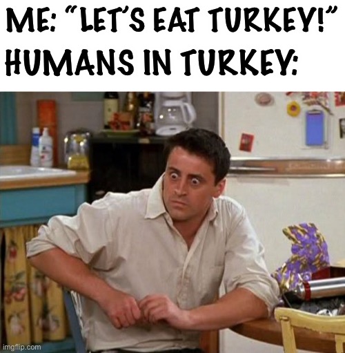i don’t think they like thanksgiving lol | ME: “LET’S EAT TURKEY!”; HUMANS IN TURKEY: | image tagged in surprised joey,turkey,thanksgiving,dark humor,food,fallout hold up | made w/ Imgflip meme maker