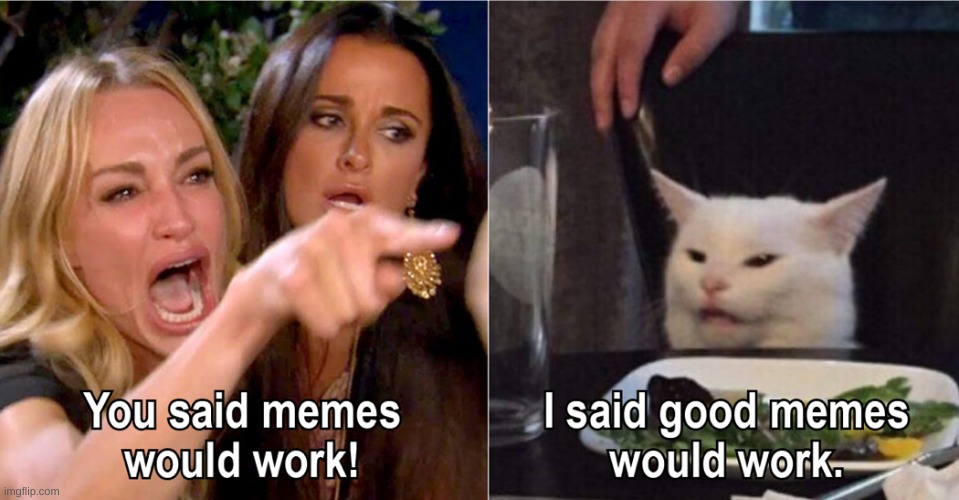 cat meme | image tagged in woman yelling at cat | made w/ Imgflip meme maker