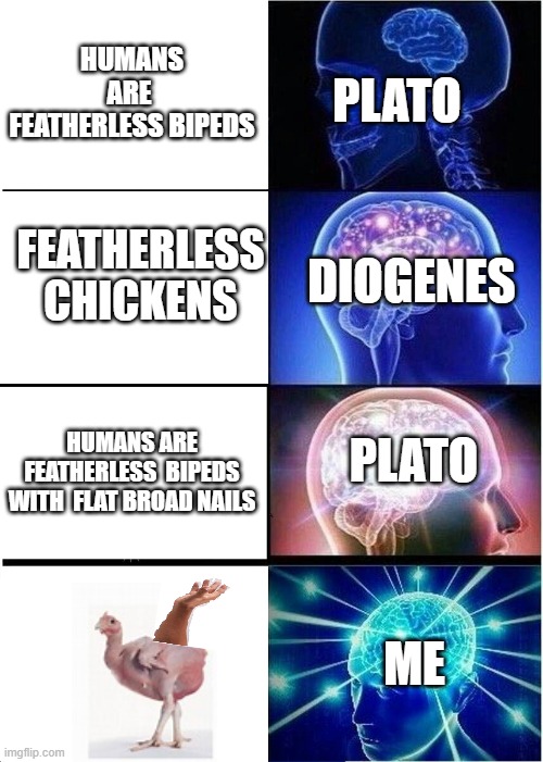 suck is  plato | PLATO; HUMANS ARE  FEATHERLESS BIPEDS; FEATHERLESS CHICKENS; DIOGENES; PLATO; HUMANS ARE FEATHERLESS  BIPEDS WITH  FLAT BROAD NAILS; ME | image tagged in memes,expanding brain | made w/ Imgflip meme maker