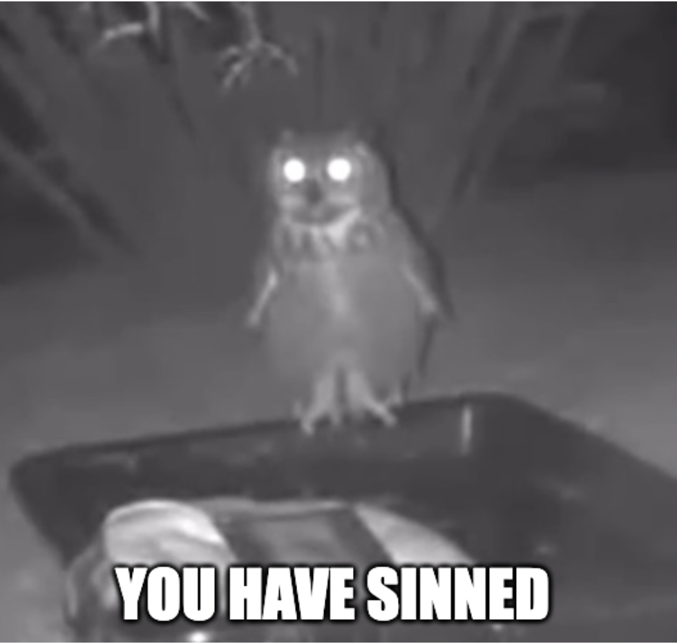 You Have Sinned Owl Blank Meme Template