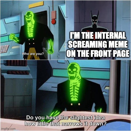 So many | I'M THE INTERNAL SCREAMING MEME ON THE FRONT PAGE | image tagged in do you have the slightest idea how little that narrows it down | made w/ Imgflip meme maker