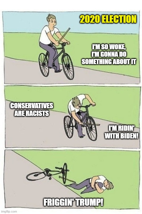 Sensible Liberals. | 2020 ELECTION; I'M SO WOKE, I'M GONNA DO SOMETHING ABOUT IT; CONSERVATIVES ARE RACISTS; I'M RIDIN' WITH BIDEN! FRIGGIN' TRUMP! | image tagged in bike crash,liberals,democrats,dimwits,sheep,woke | made w/ Imgflip meme maker
